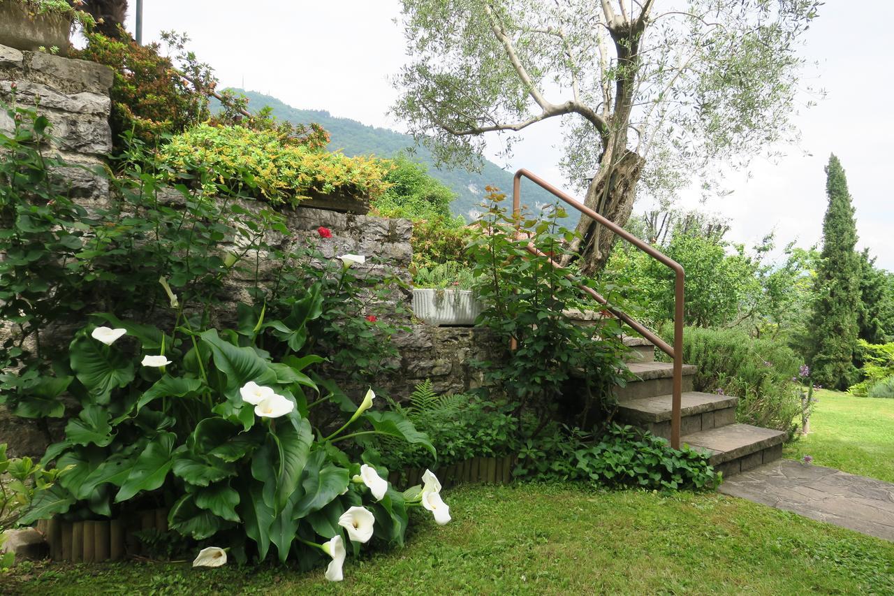 Bellagio Lake View Villa Oliveto Lario Exteriér fotografie