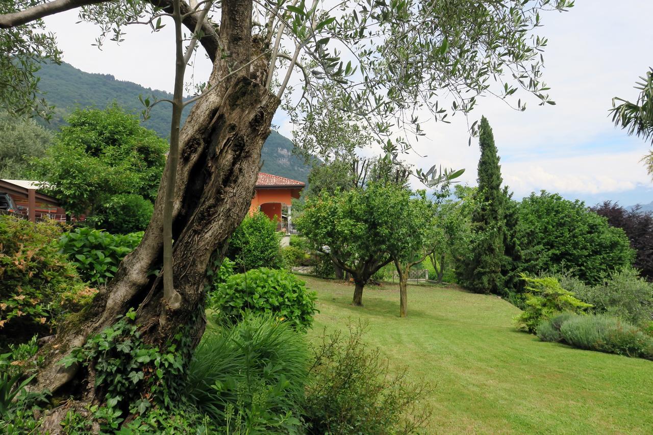 Bellagio Lake View Villa Oliveto Lario Exteriér fotografie