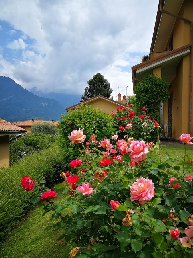 Bellagio Lake View Villa Oliveto Lario Exteriér fotografie