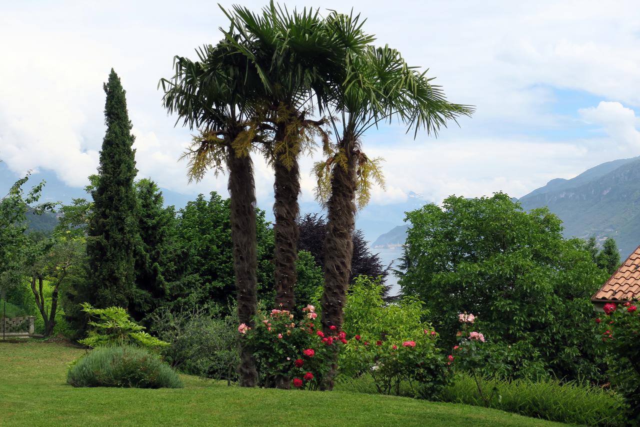 Bellagio Lake View Villa Oliveto Lario Exteriér fotografie